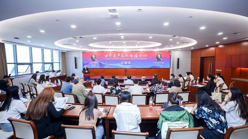 媒介投放策略：精准定位，高效传播